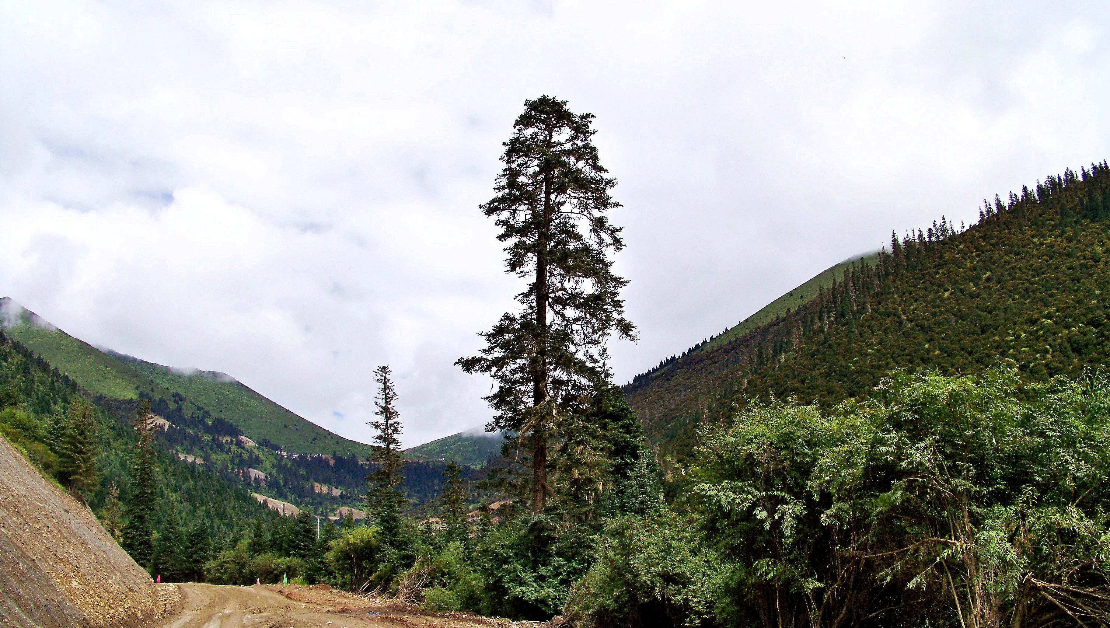 （一）我的藏地明码：九年前烂路相伴的G318；15天川进青出甘南回