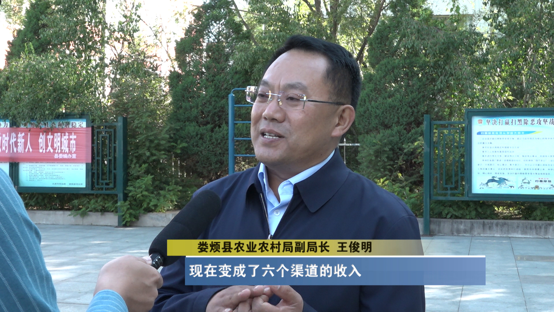 娄烦特产山药疙瘩,太原娄烦种植