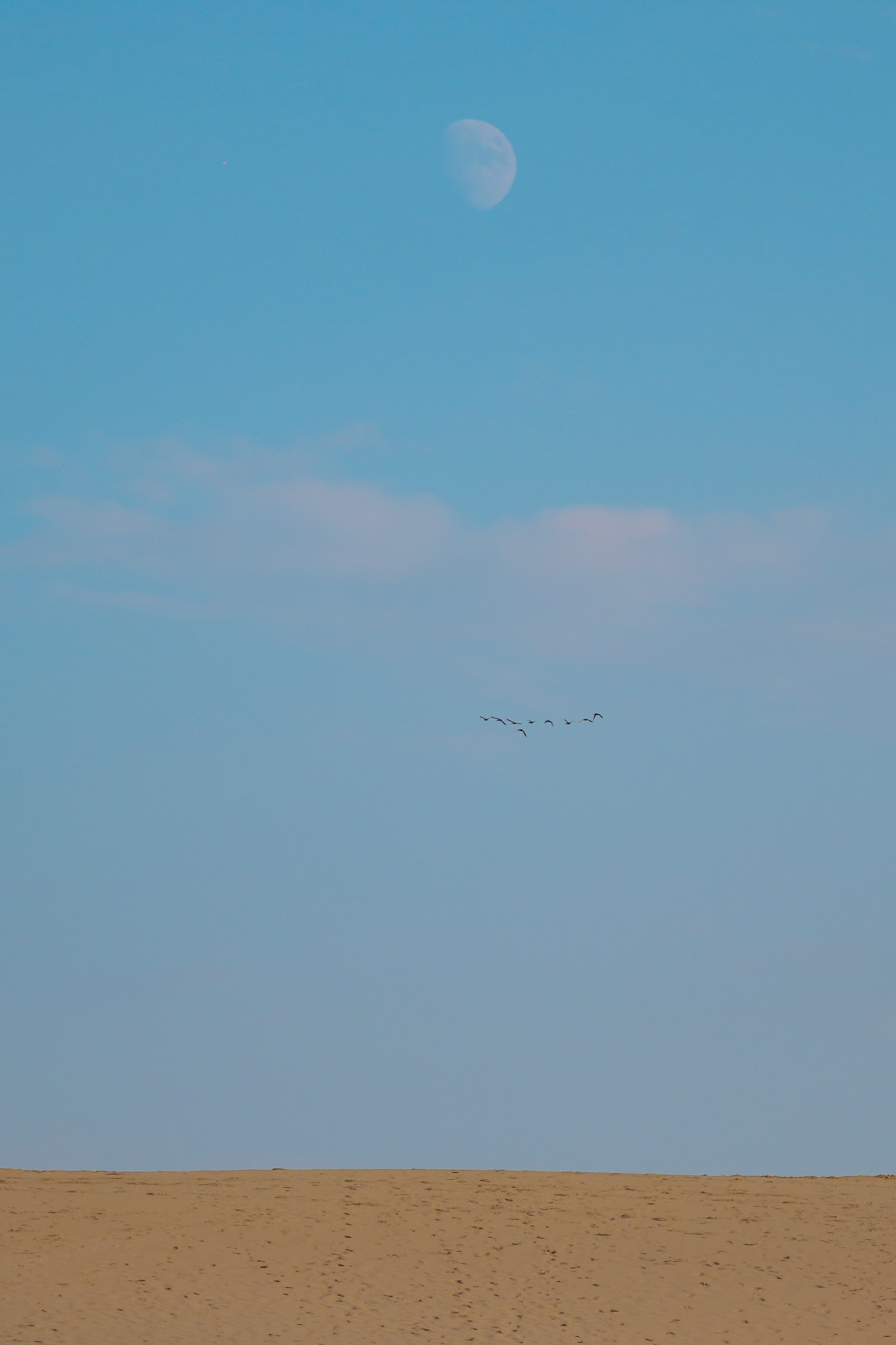宁夏银川有哪些打卡地,游银川必去的网红打卡地