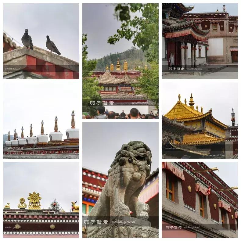 打卡青海湖自驾游,打卡全国酒店