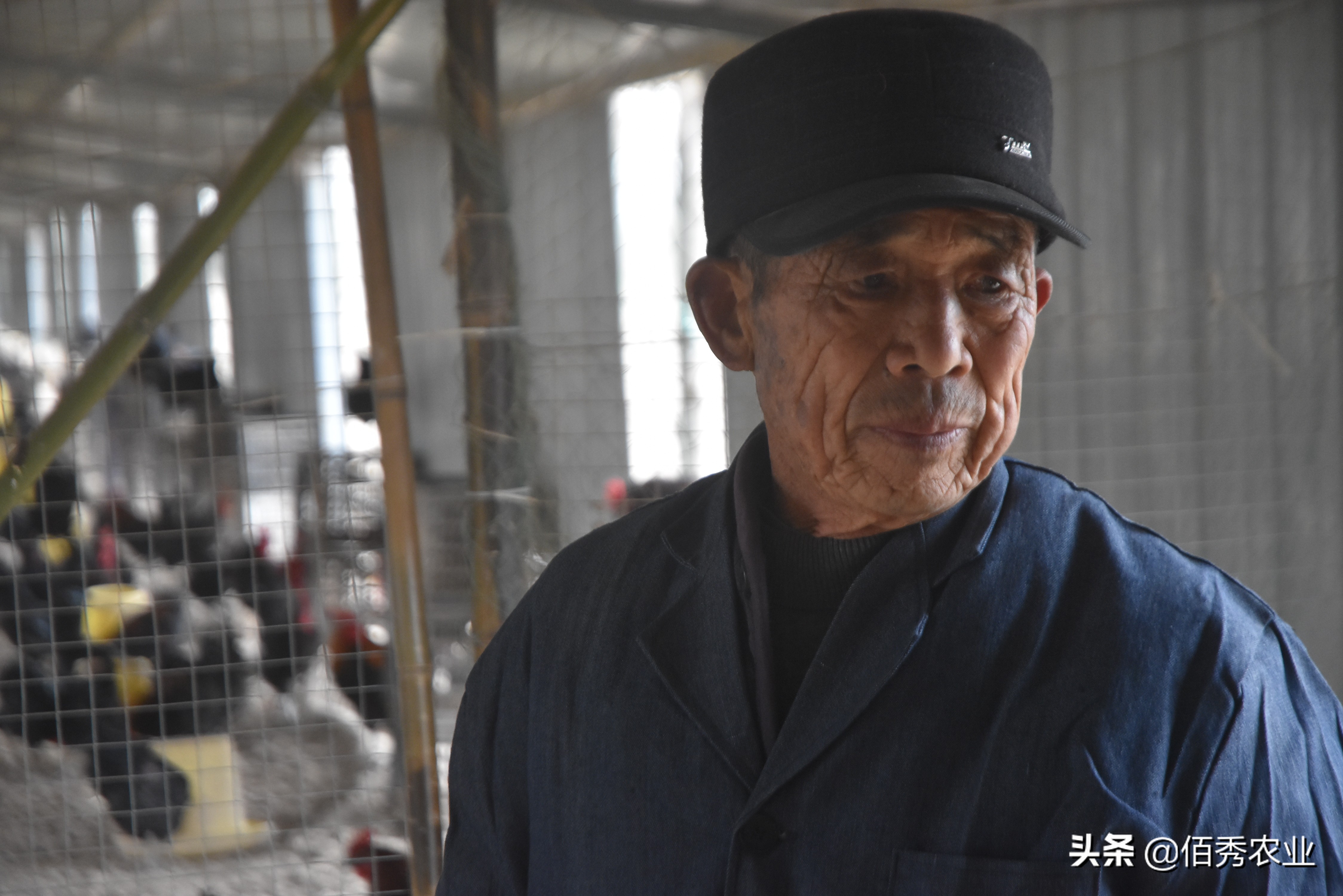 有没有大型养殖公司找农户合作的,有正规的合作养鸡包回收的公司吗