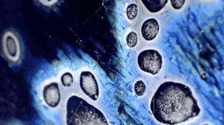 建盏和宋代斗茶有什么区别,宋代斗茶盛行用的建盏什么来头