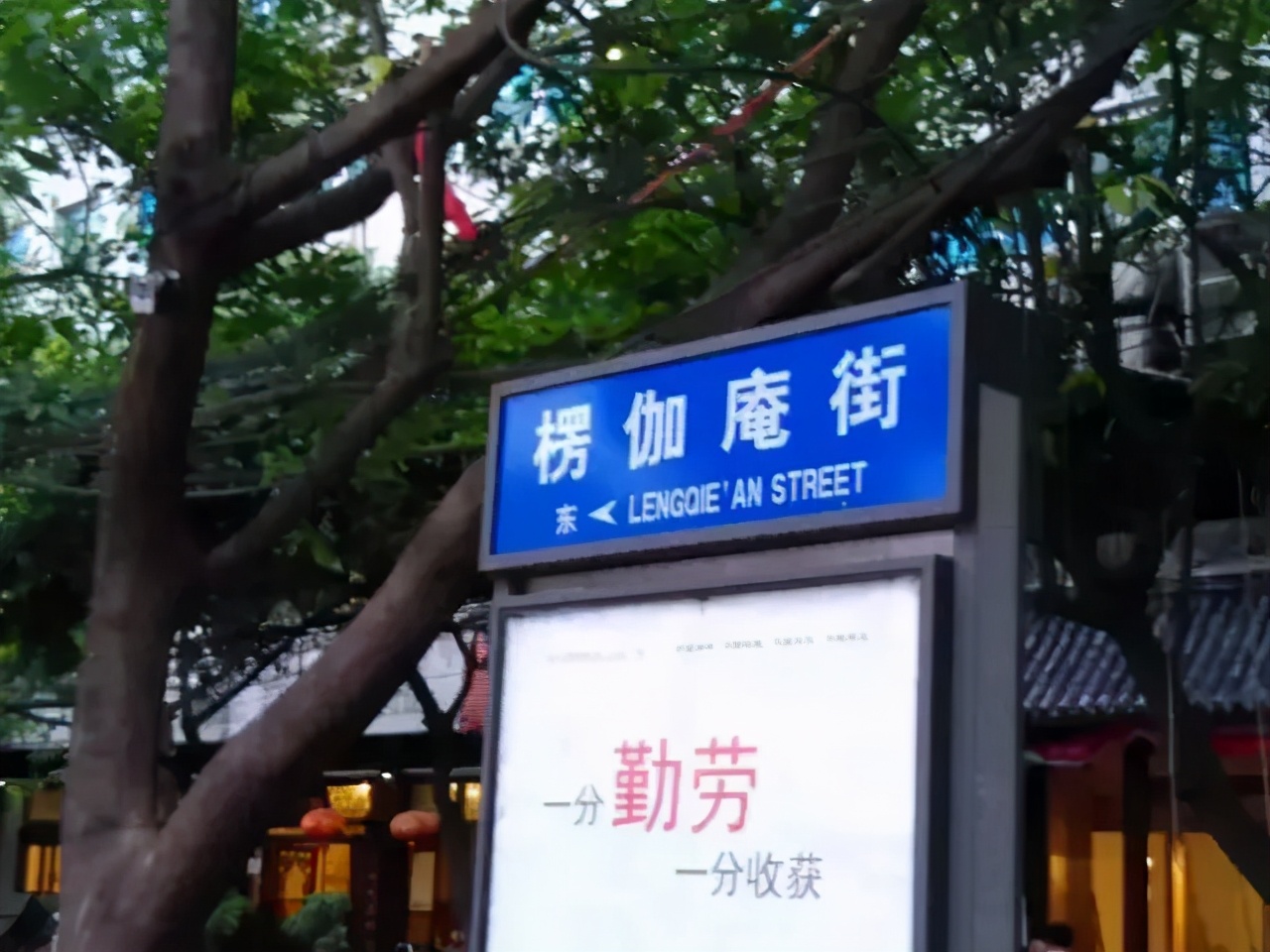 成都街巷志|猜猜母猪湾和猫猫巷在哪儿?