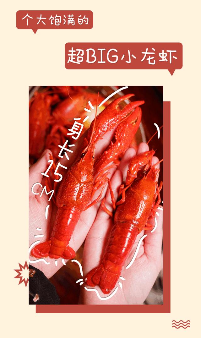 宜春潜江小龙虾,宜春潜江龙虾