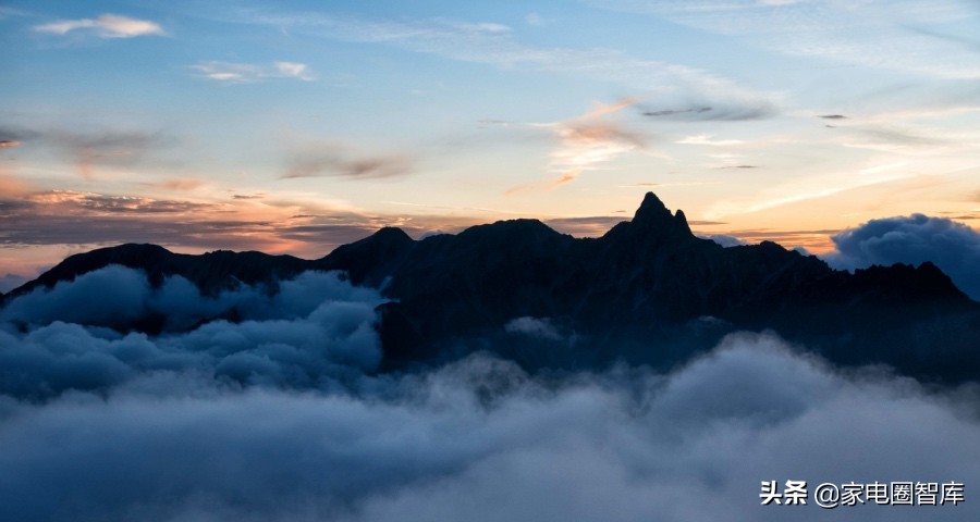 2020年各品牌洗衣机市场占有率,洗衣机美的和西门子谁好