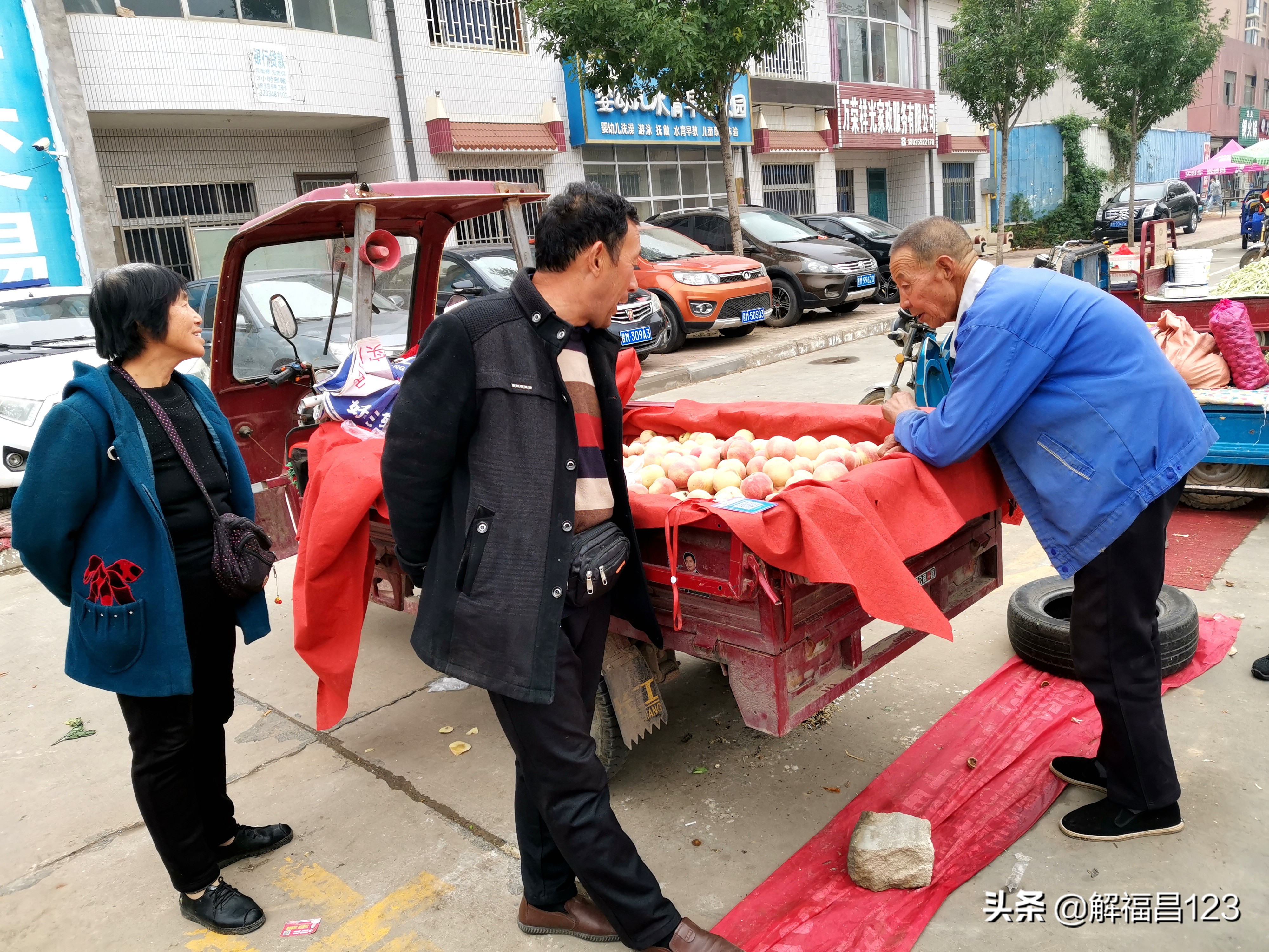 300亩晚熟桃多少钱 (晚熟桃多少钱一亩)