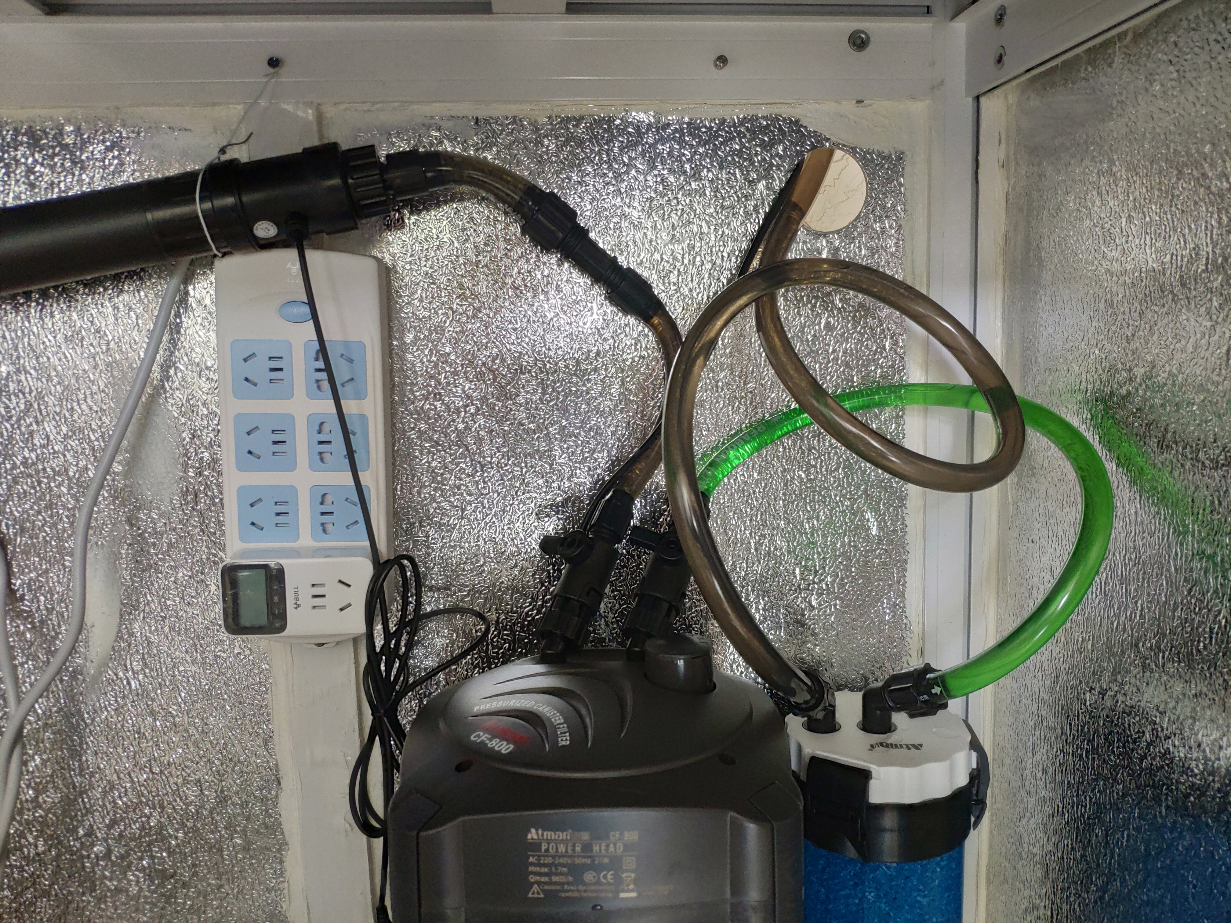 入坑养鱼花销,入坑草缸后的作品