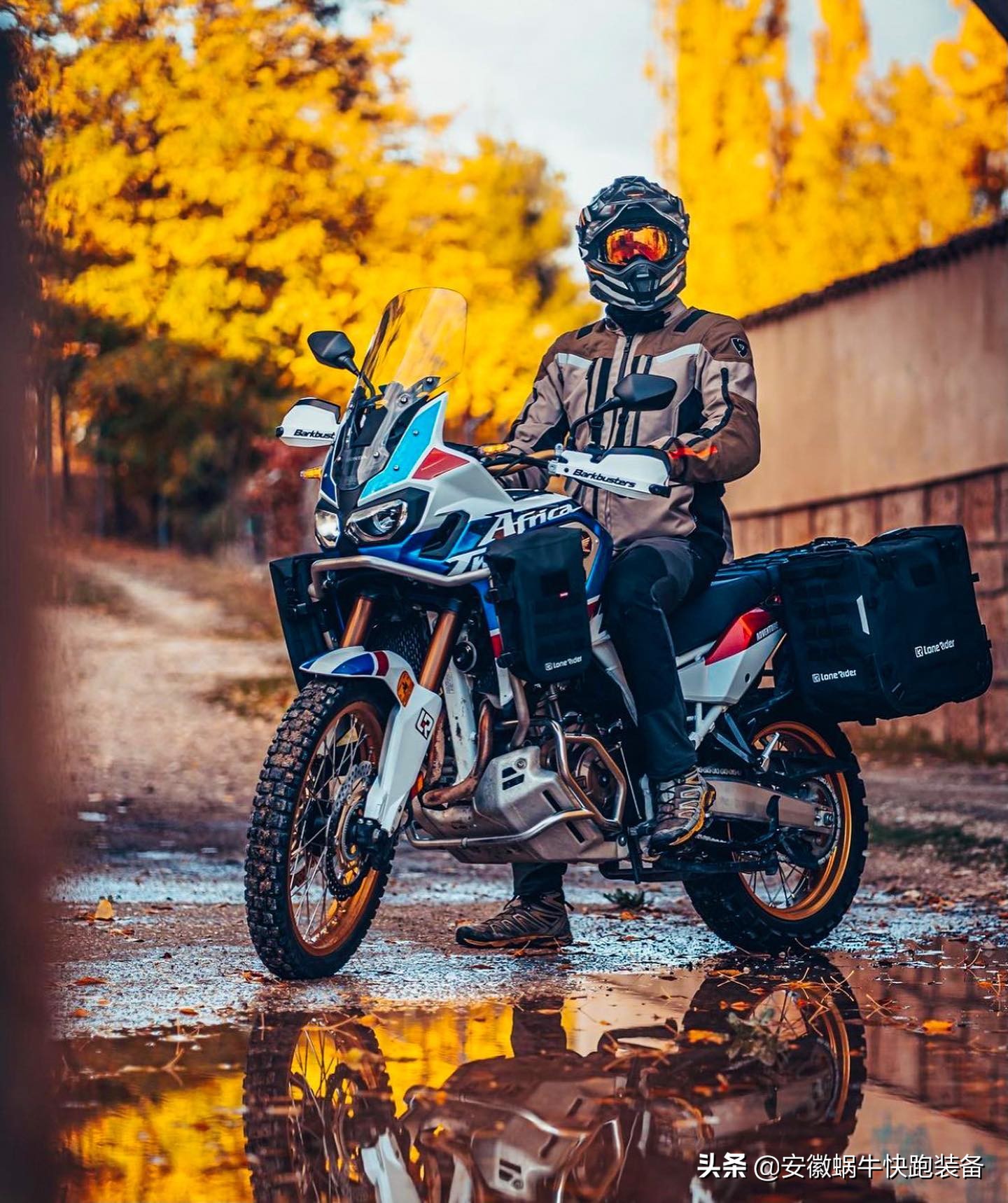 备战双十一有没有信心,打响双11视频