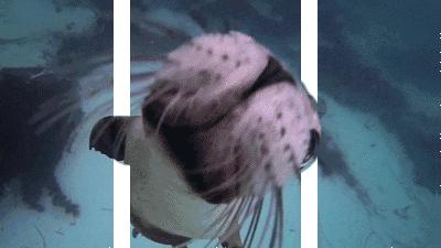 孩子游泳的坏处,小孩游泳到底好不好