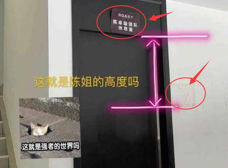 吐槽大会陈卓璇出场音乐,吐槽大会第五期陈卓璇