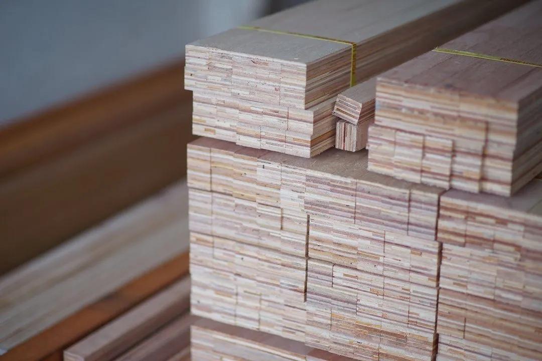 新房防甲醛买什么植物,新房甲醛克星植物