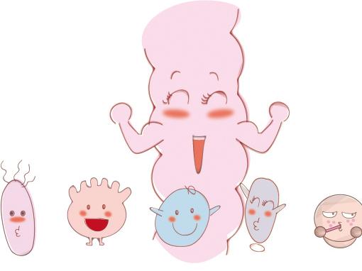 益生菌、益生元、膳食纤维，都是肠道的朋友？别再傻傻分不清？