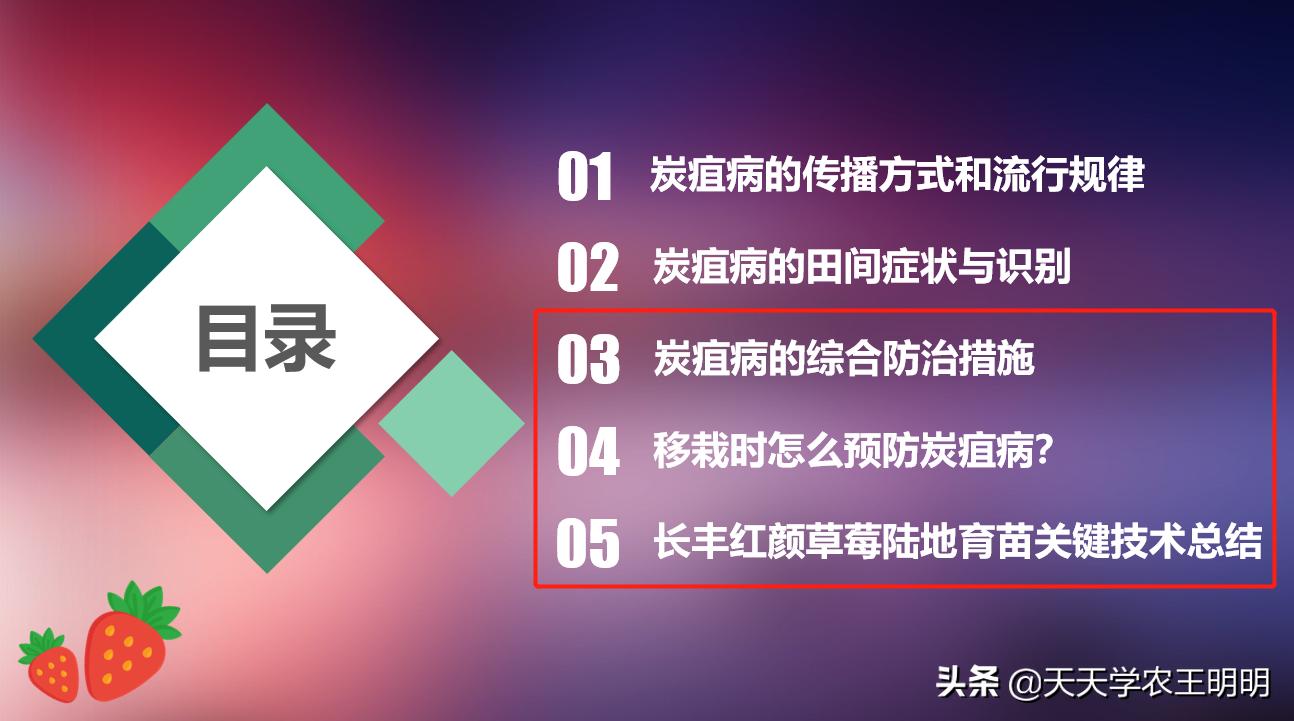 草莓小苗移栽大棚发炭疽病怎么办,草莓炭疽病初期苗还可以治好吗
