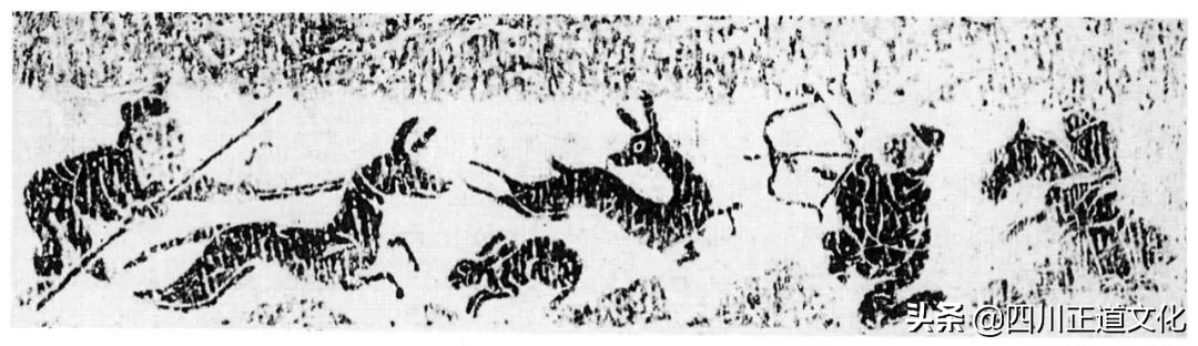 猫的故事,猫的故事视频