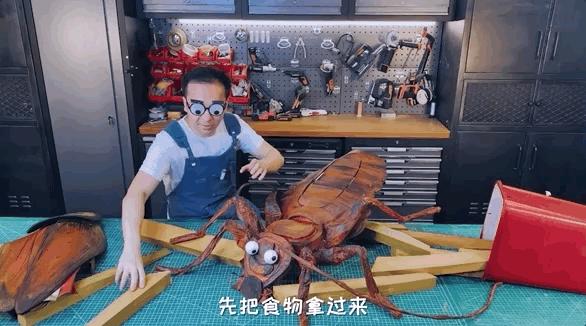 如何灭绝室内蟑螂虫卵,消除老房子蟑螂的方法