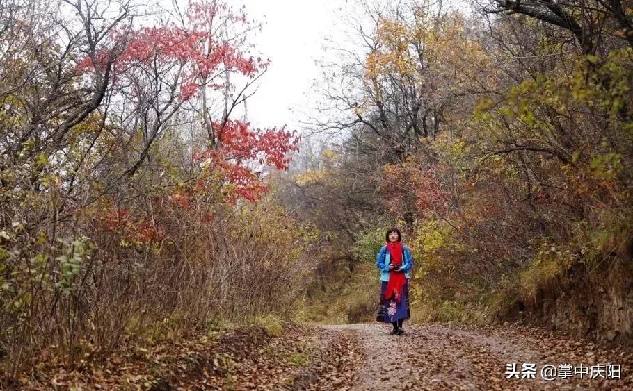 庆阳是哪个省的城市,庆阳市是怎样一个城市