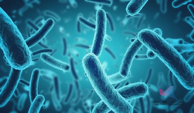 加湿器导致韩国人死亡,加湿器电死人事件