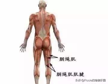 创造营里论腿更服苏有朋，明星私教揭秘：竟因他做了这个瘦腿动作