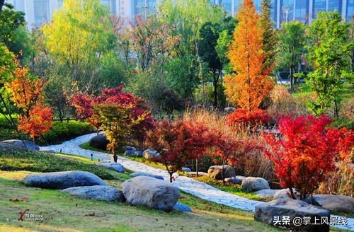无锡一日游必去十大免费景区,无锡军嶂徒步六段详细路线