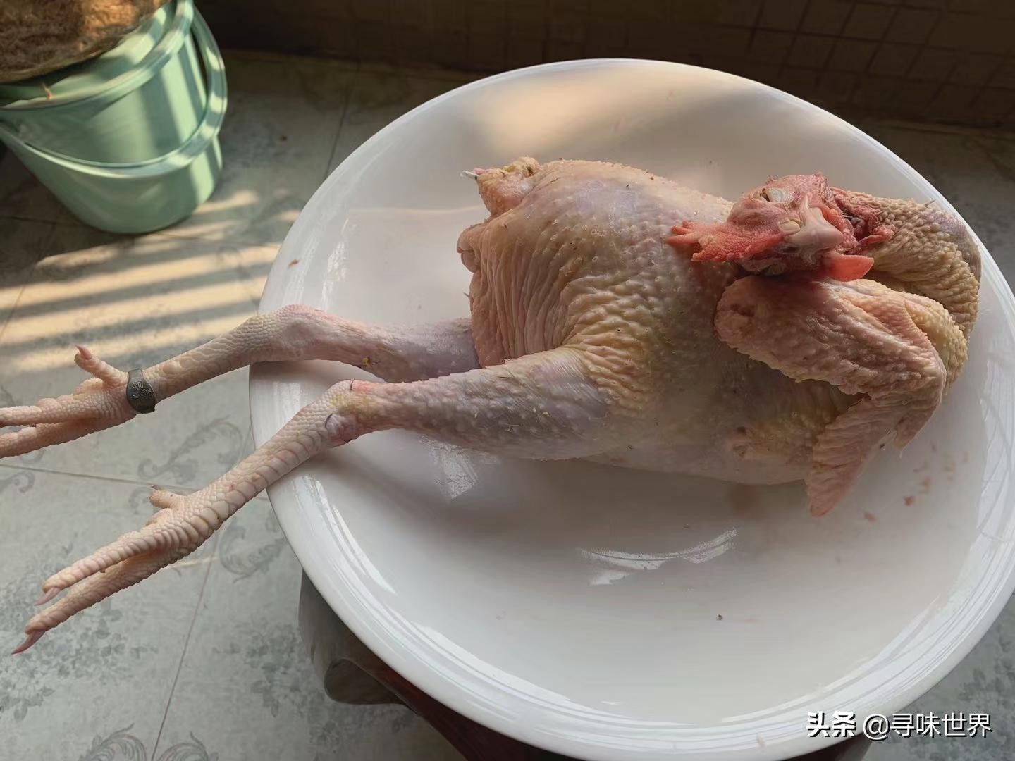 如何挑选好吃的土鸡,土鸡怎样挑选高产鸡