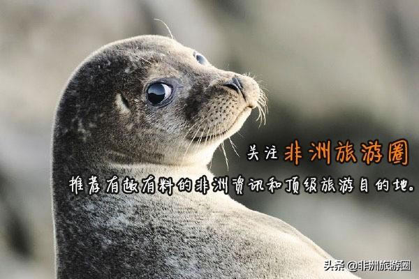 在非洲工作生活是怎样一种体验？点亮尼日利亚