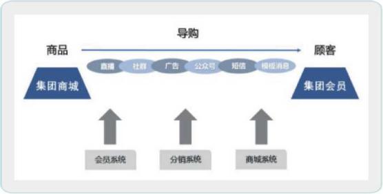 私域流量卖服装销量惊人,私域流量一年卖70个亿女装