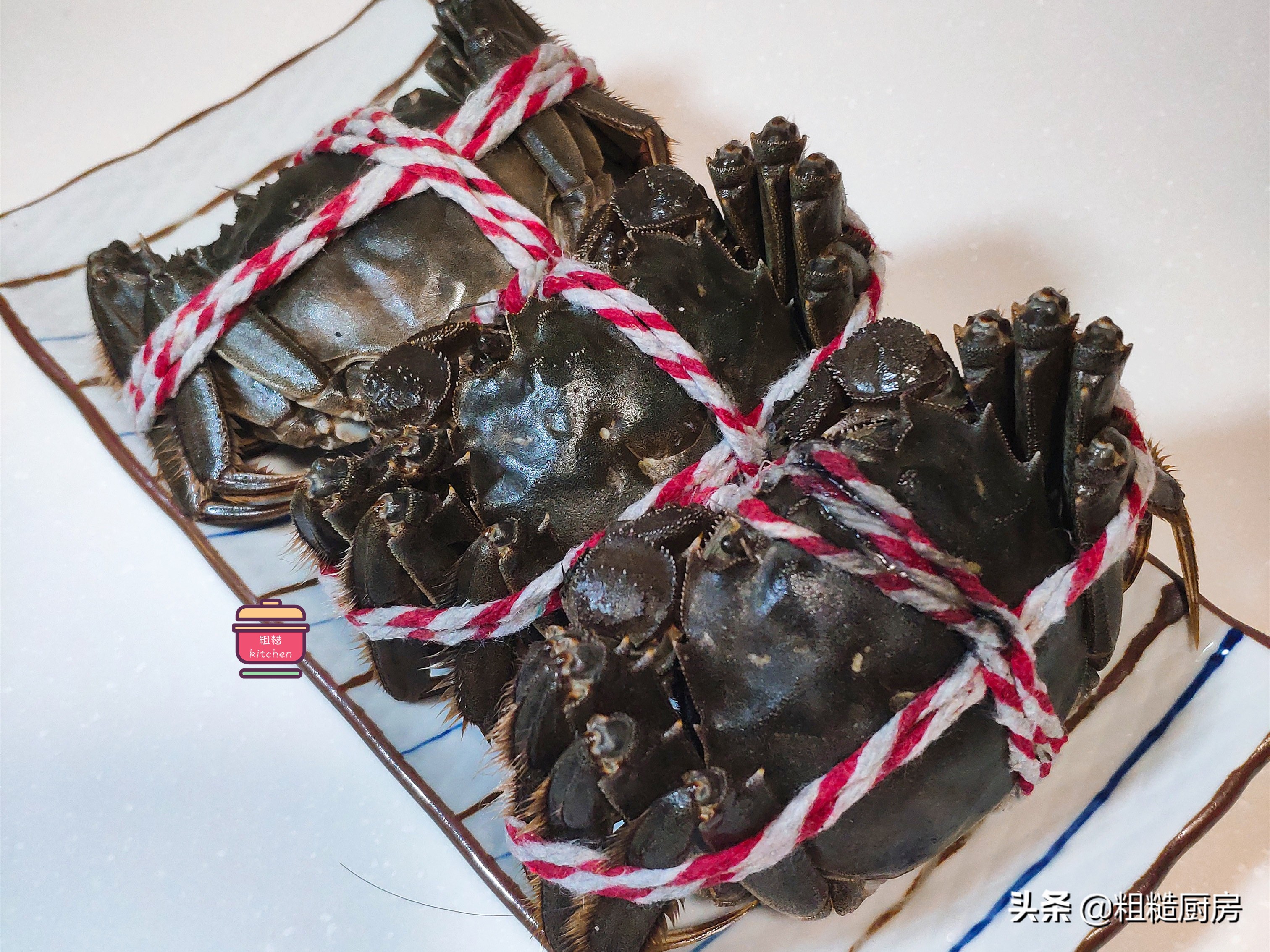 肥美大闸蟹这样吃最香,秋季肥美大闸蟹的吃法