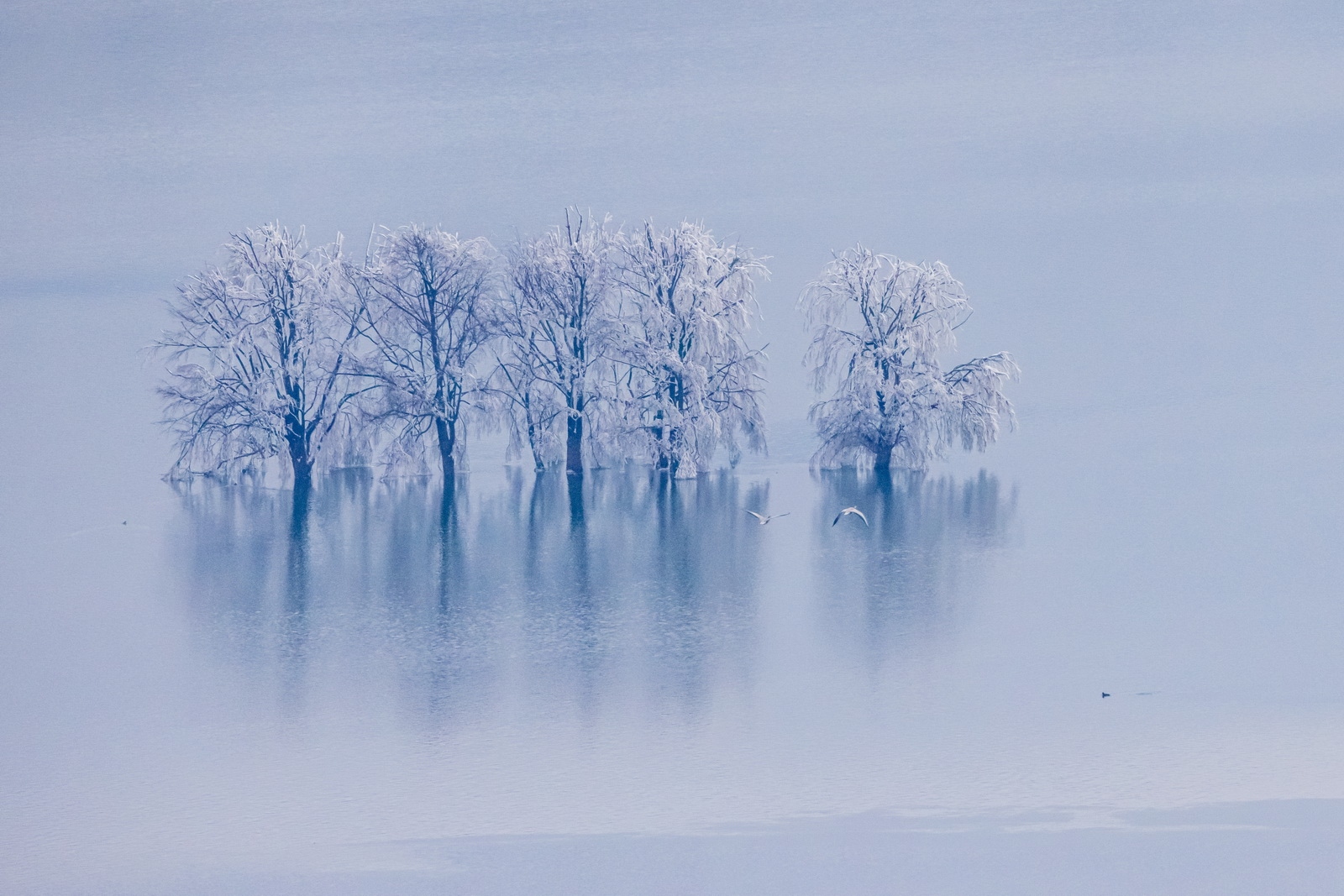 eosr5拍鸟体验,eosr5摄影与视频拍摄技巧大全