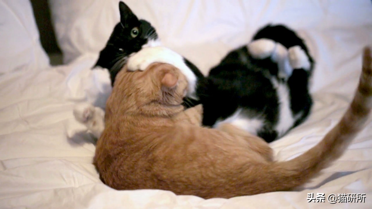 在外受气回家打儿子,在外受欺负回家打老婆孩子