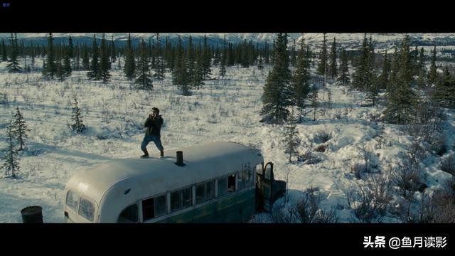 20部必看荒野生存的电影,推荐几部好看的电影荒野生存