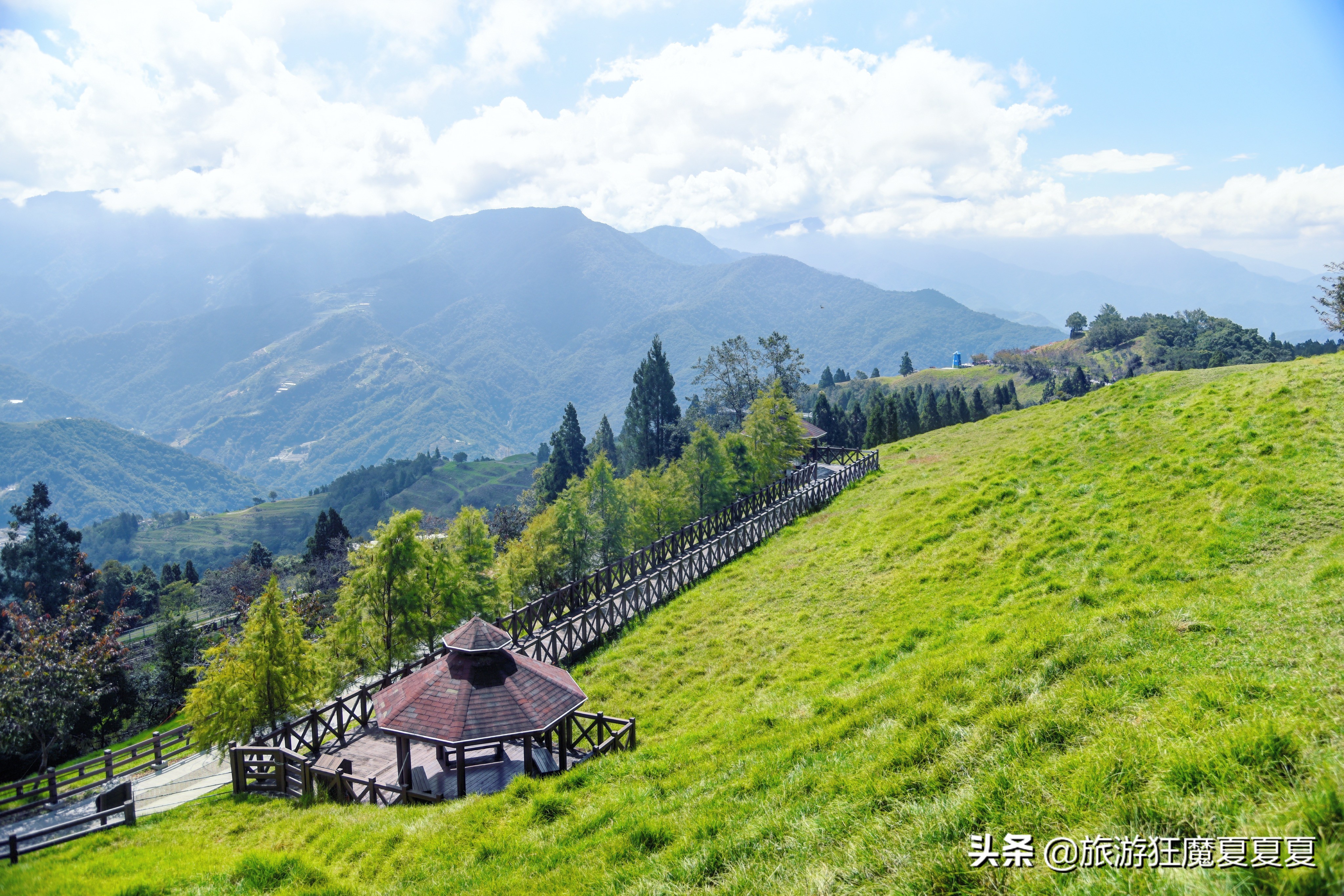台湾适合亲子游的景点推荐,台湾清境农场游后感