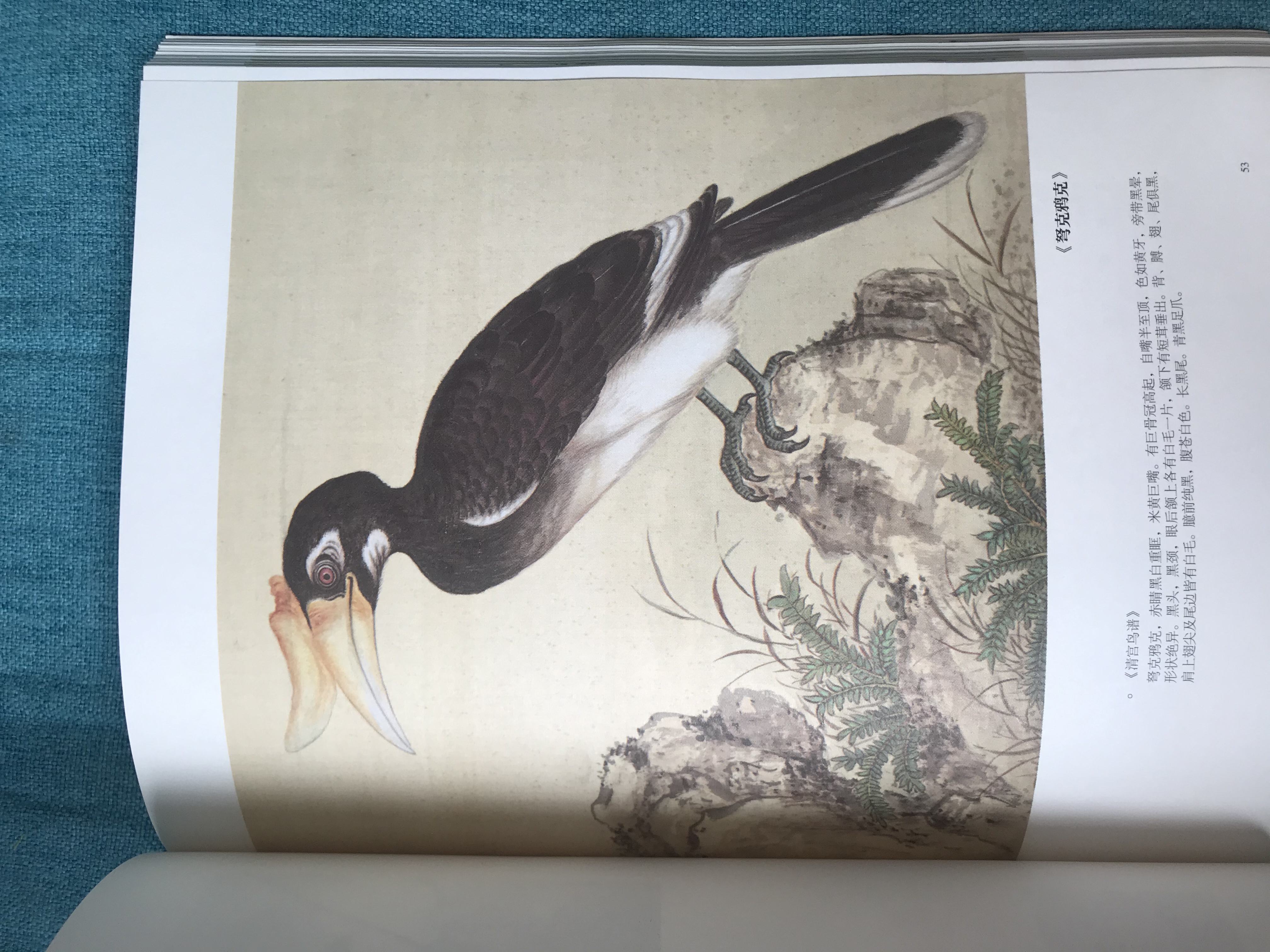 真正让曹操害怕的五位猛将将是谁,让曹操害怕的五大名将