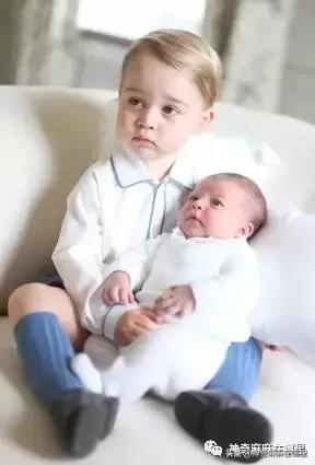 带货小王子,带货的小王子