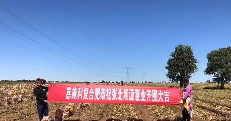 抗灾减损保丰收,抗旱保苗确保秋粮丰产