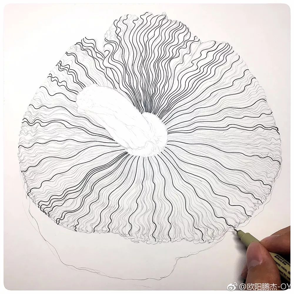 简单针管笔手绘花,简单易学针管笔手绘