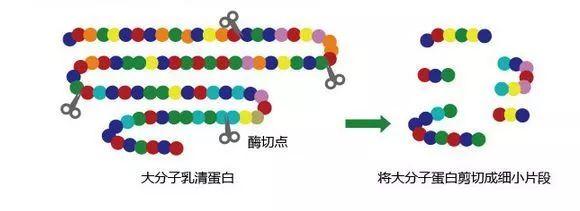 牛奶过敏不喝深度水解奶粉怎么办,宝宝牛奶过敏喝什么牌子的奶粉好