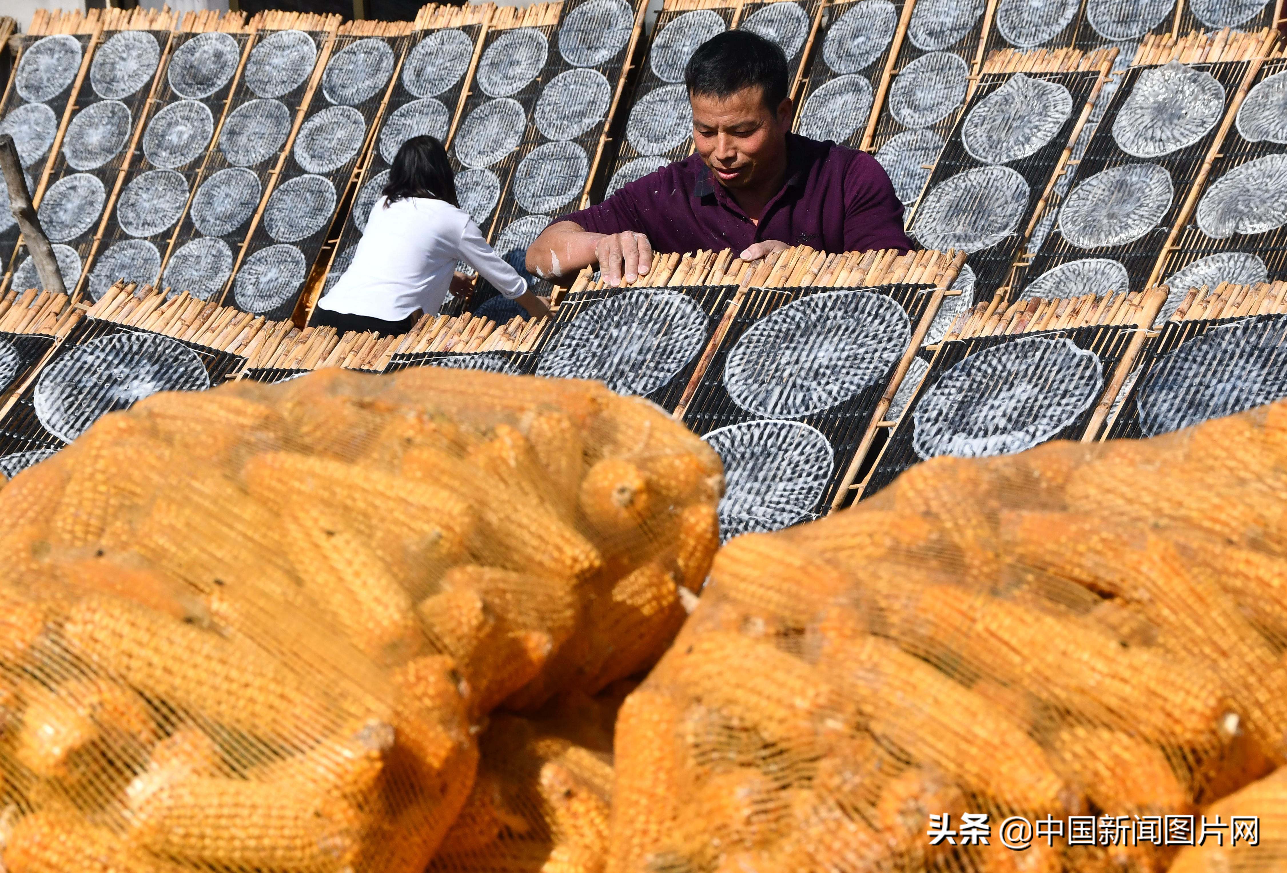 黄县手工粉皮现做现卖,粉皮加工厂致富项目