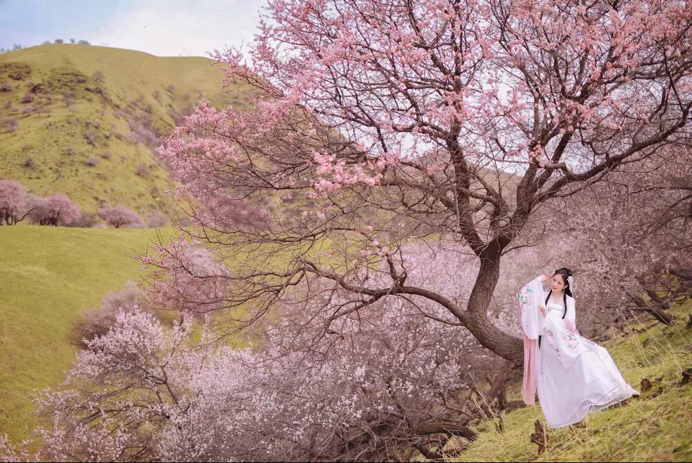 题都城南庄留给了我什么印象,题都城南庄深度解读