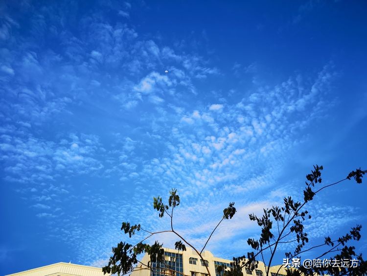 南海西沙岛礁全图,南海西沙群岛海域