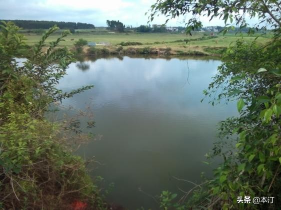 鏅編娓斿叿,鏅編楸艰偉