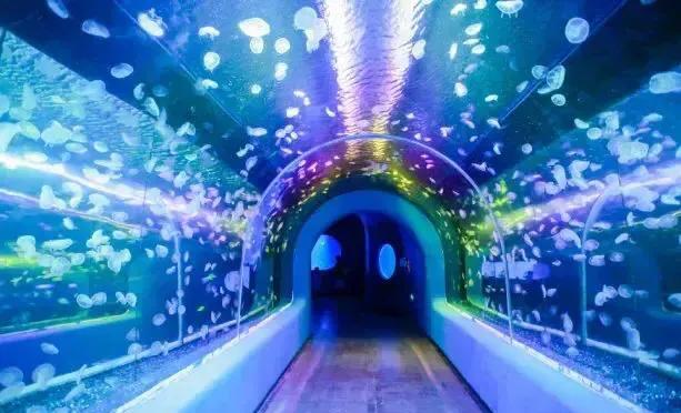 深圳十大暑假室内必去景点,深圳暑假值得带孩子旅游的地方