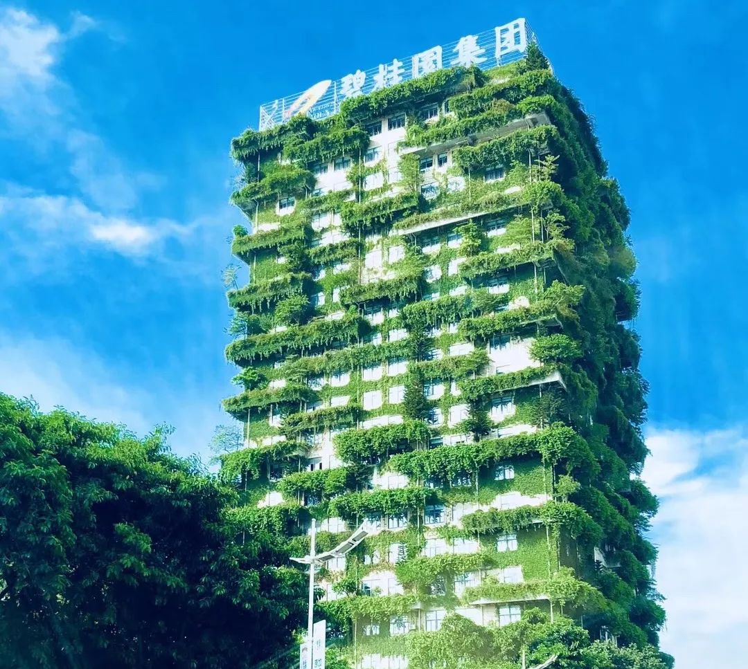 碧桂园施工员福利,碧桂园员工福利怎么样