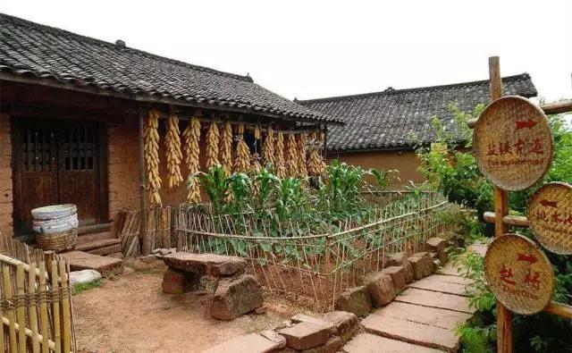 李子柒令人向往的世外桃源生活,李子柒记录的简单淳朴的田园生活