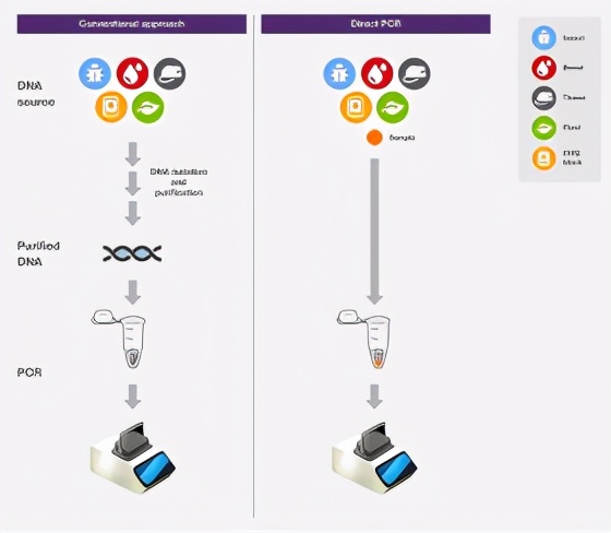 pcr技术需要用到的公式,pcr技术知识点