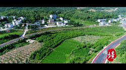 精彩绝伦！今天小悟乡的这场活动温暖又火爆！赶紧来点赞！