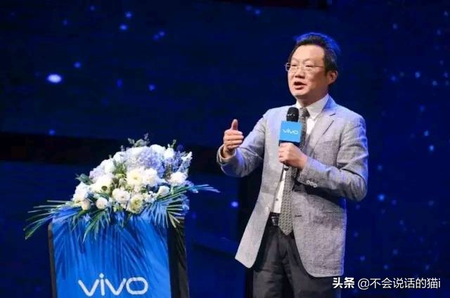 雷军为什么创立了华为,任正非雷军oppovivo