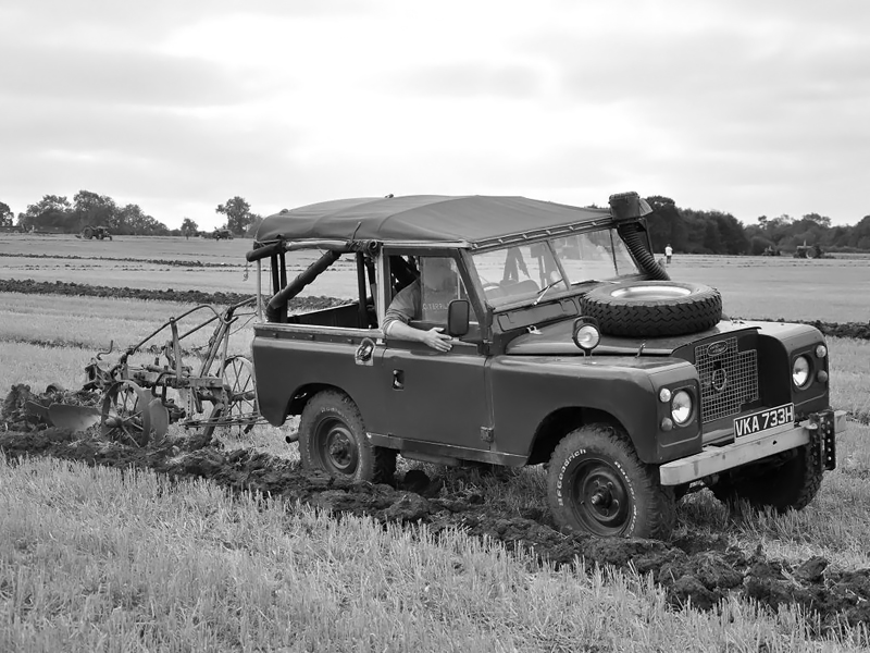铃木吉姆尼越野试驾,动物凶猛
