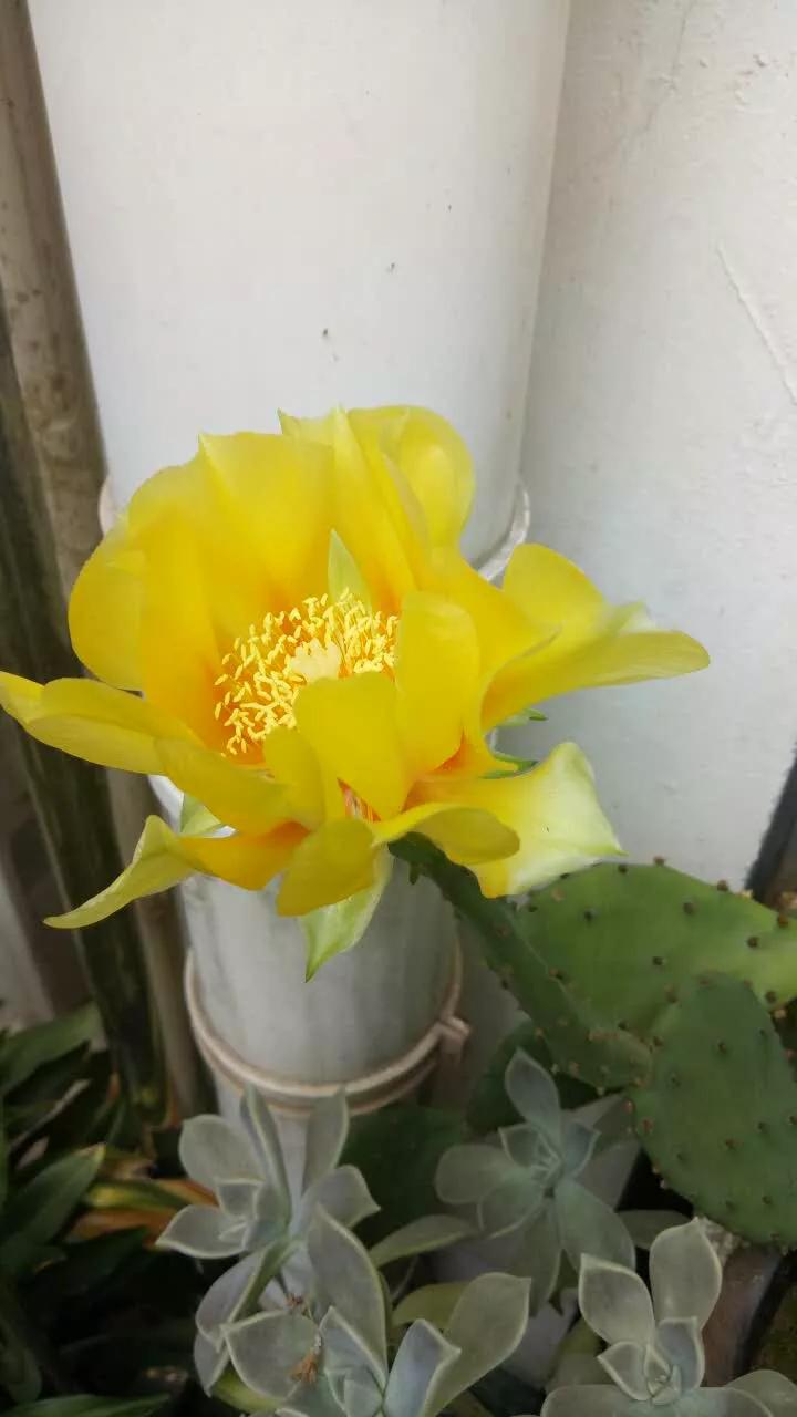 苏州购房心得,我在苏州购房历程记录