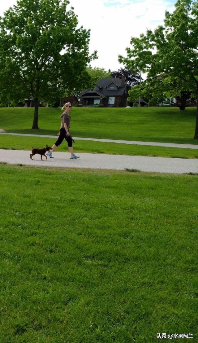 新西兰旅游攻略租车,加国自驾游攻略