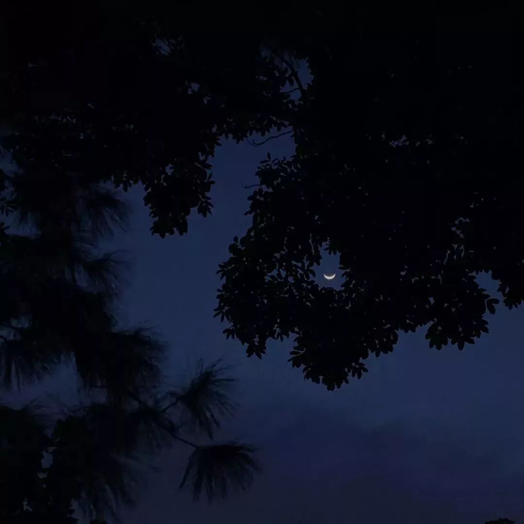 赞别人拍的照片,你用手机拍过哪些最美的照片